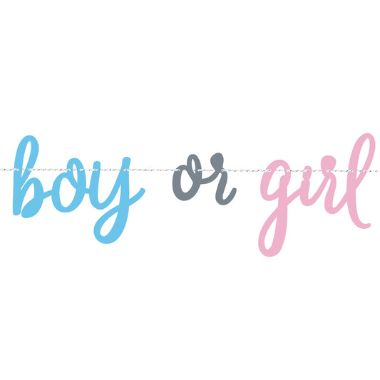 Gender Reveal 'Boy or Girl' Banner NEW