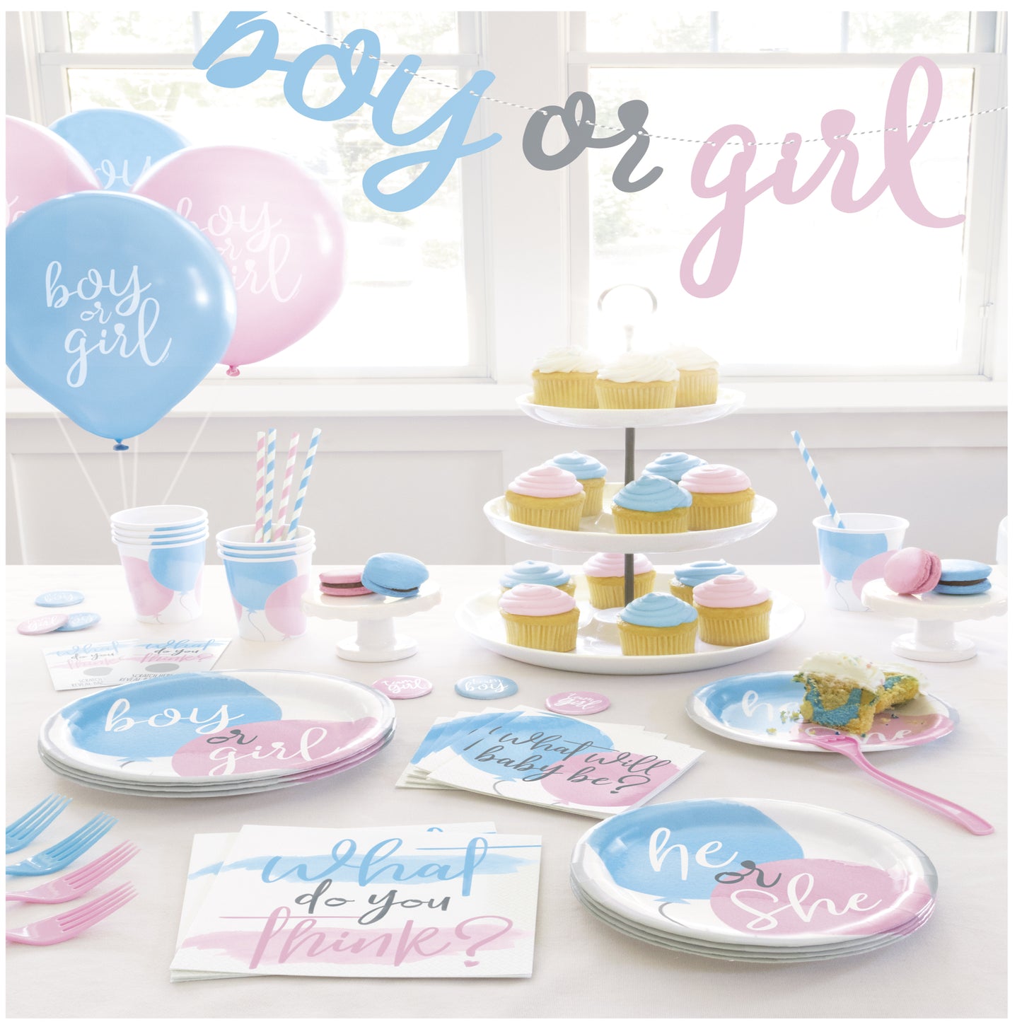 Gender Reveal Plates NEW